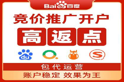 百度竞价代运营公司成功案例解析